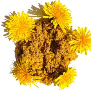 Одуванчик, цветы - ароматное очищение